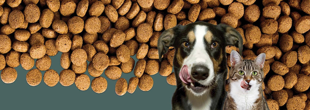 A Guide to Pet Food Ingredients