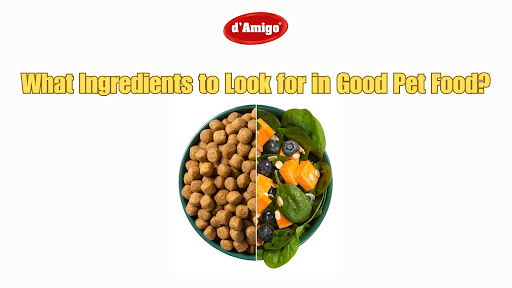 What Ingredients to Look for in Good Pet Food?